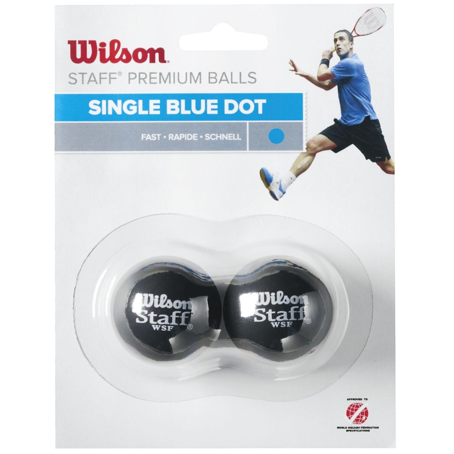 Zestaw 2 piłek Wilson Staff squash point bleu 1/1