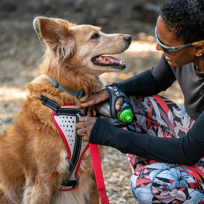 Harnais De Chien De La Série K9 Avec Laisse NOIR