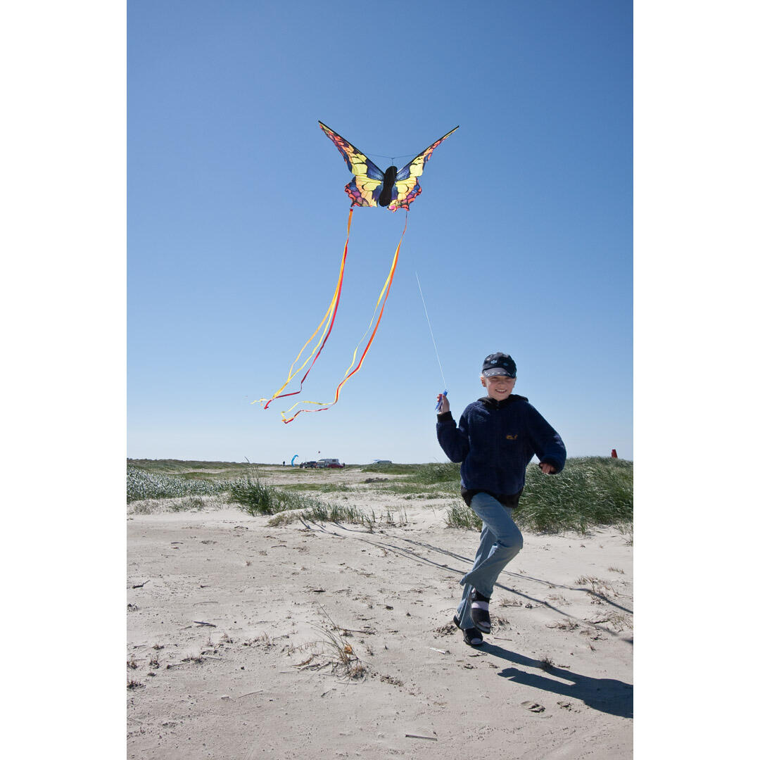 HQ Kindervlieger Butterfly Kite Swallowtail R 4/4