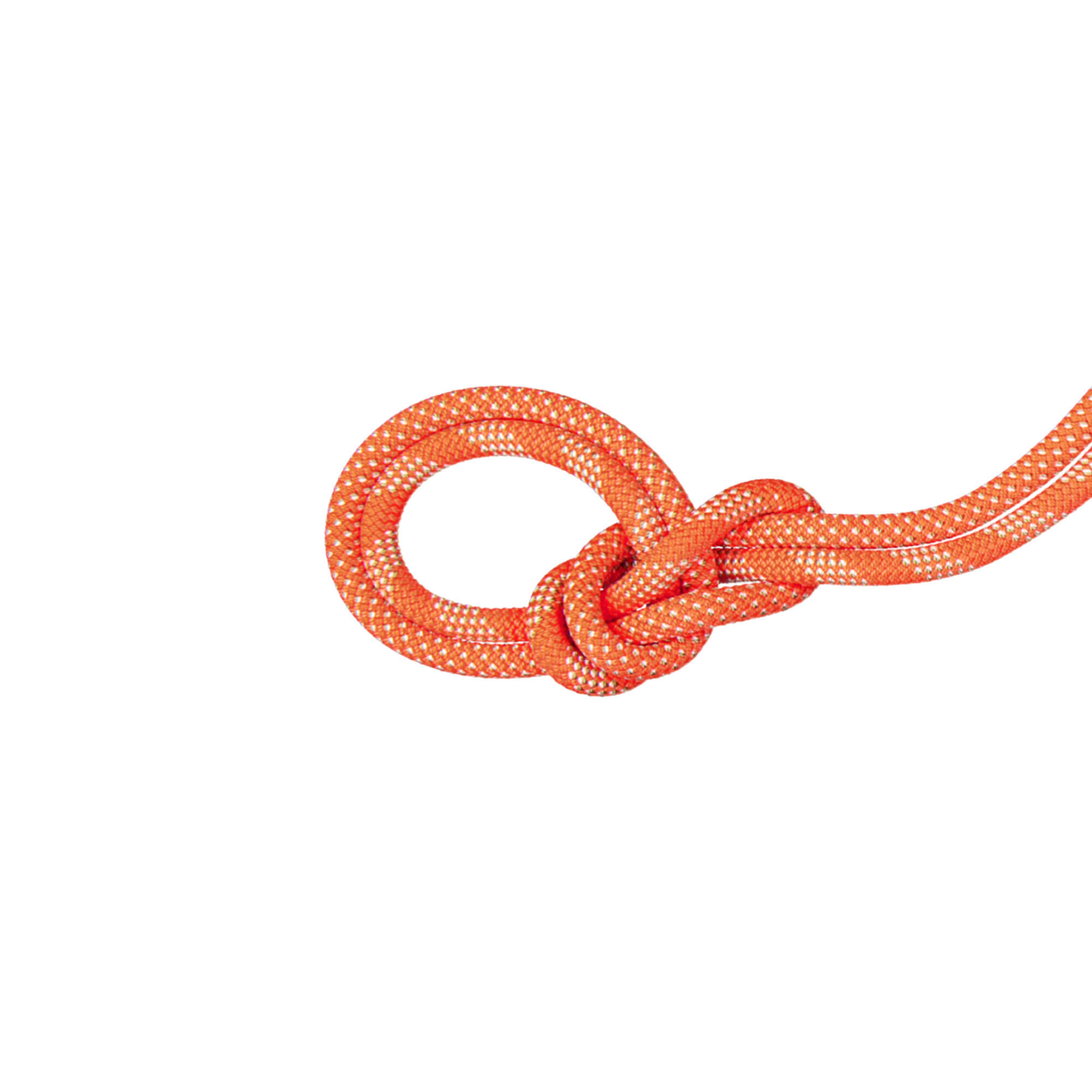 Mammut 9.8 Crag Corda da arrampicata classica 4/4