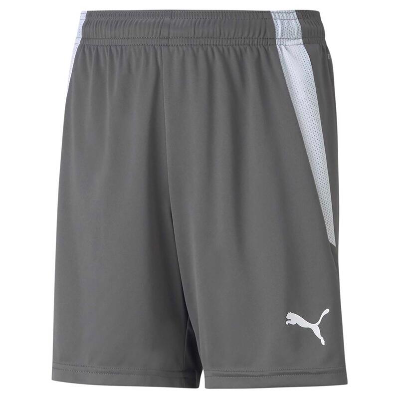 Shorts Puma Teamliga Shorts Jr Kind