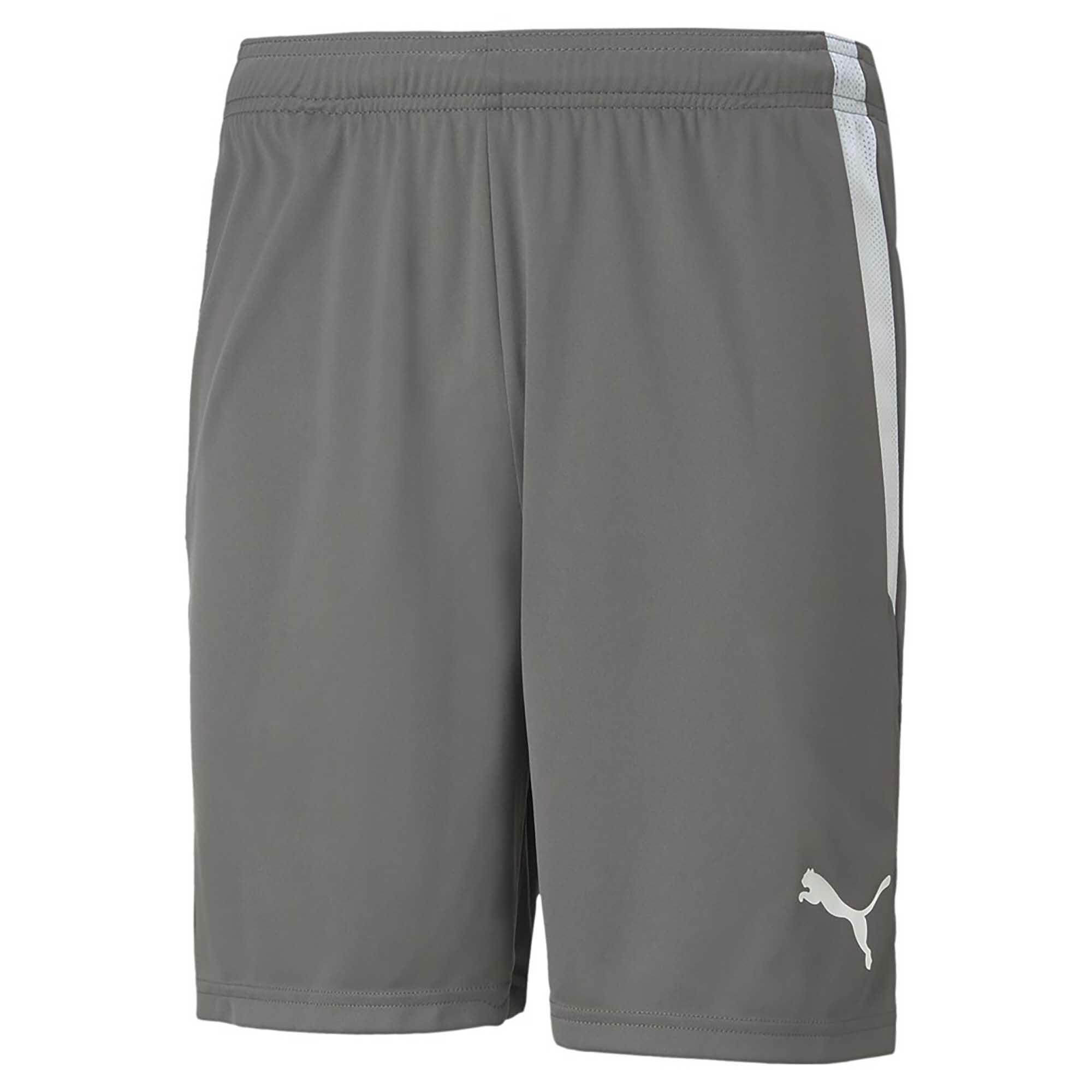 Calções Puma Teamliga 13 Adulto 1/2