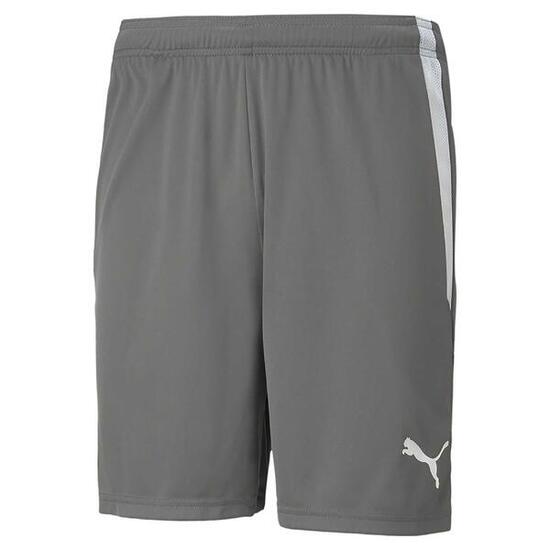 Short Puma Teamliga 13 Short Adulte