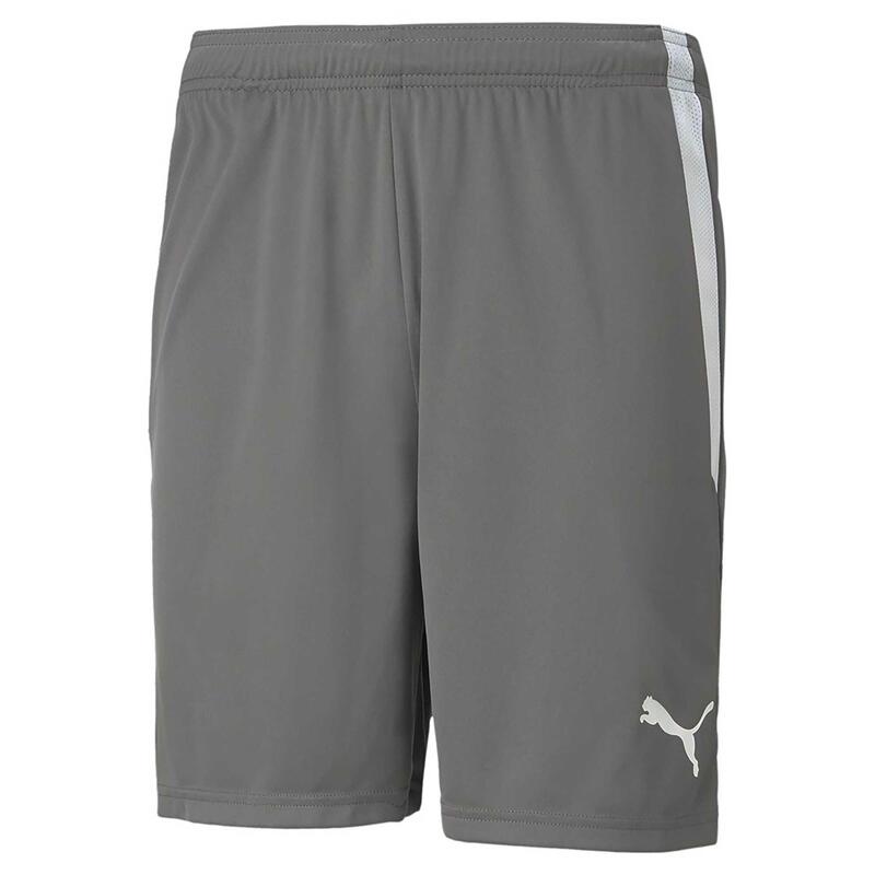 Puma Teamliga Shorts 13 Shorts Volwassenen