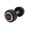 Dumbell - Vaste Halter - Gietijzer met Rubber coating - 10 kg