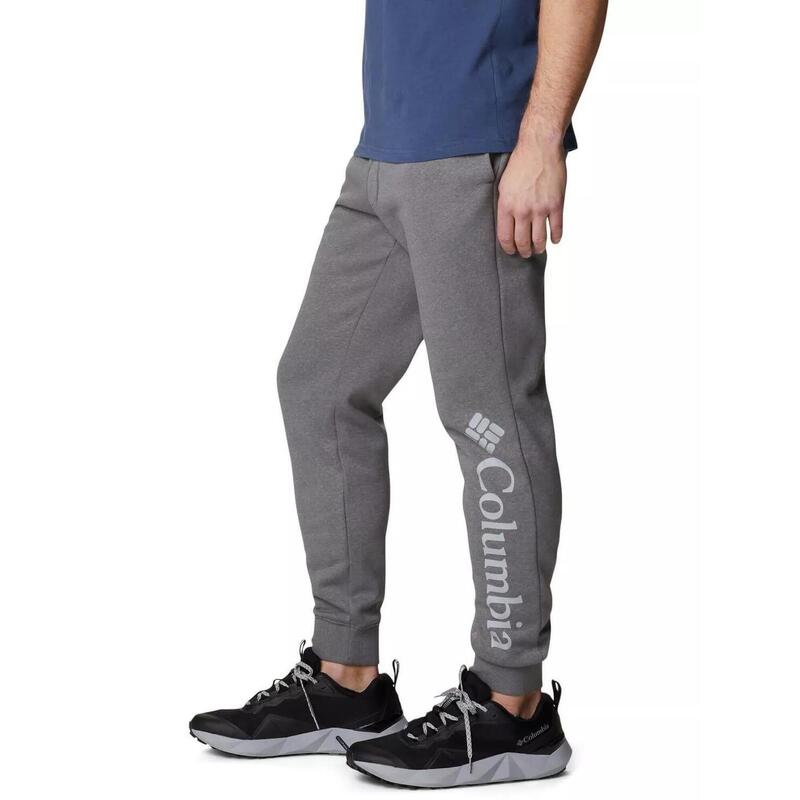 Trainingshose M CSC Logo Fleece Jogger II Herren - grau