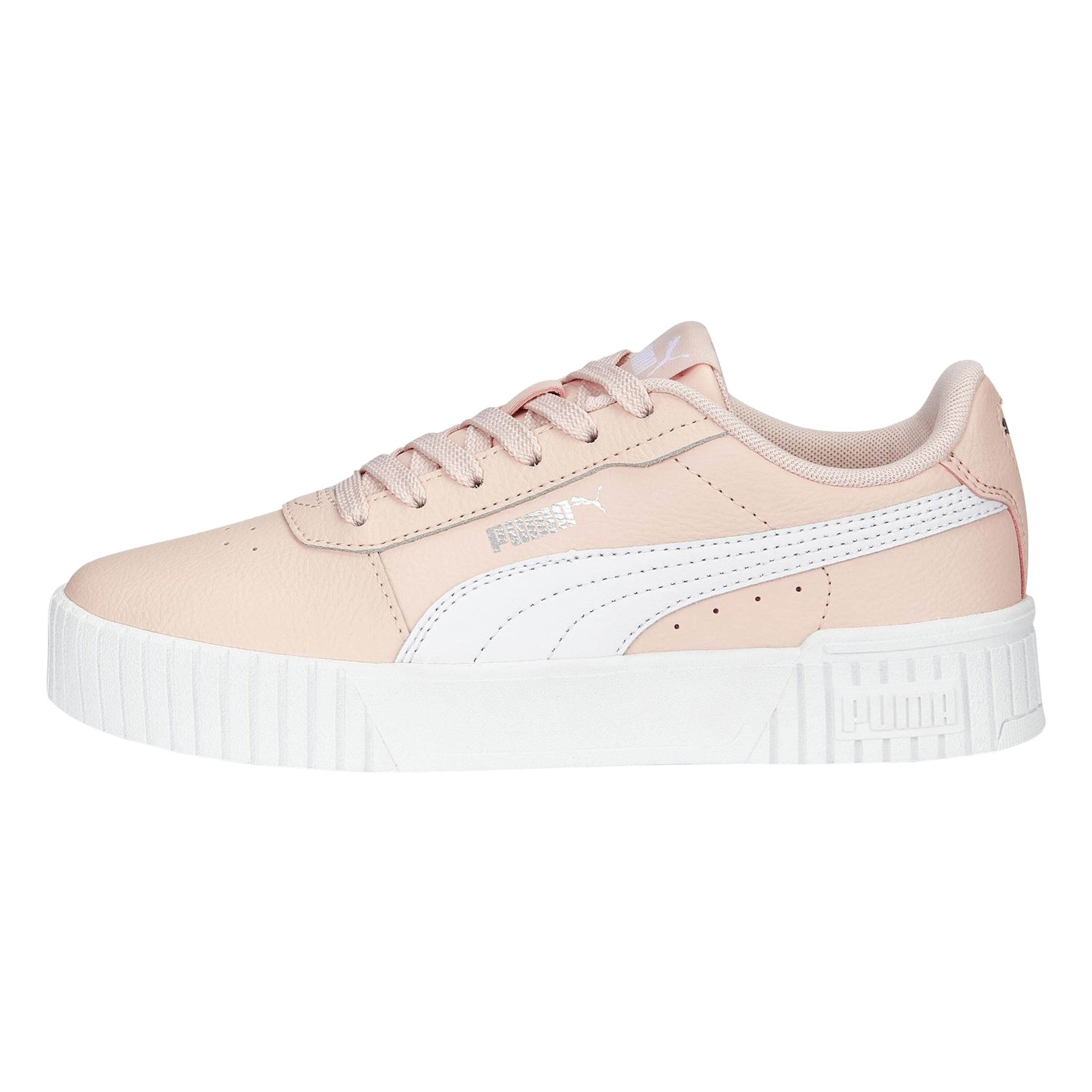 PUMA picture