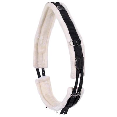 Werkblad qhp ontario