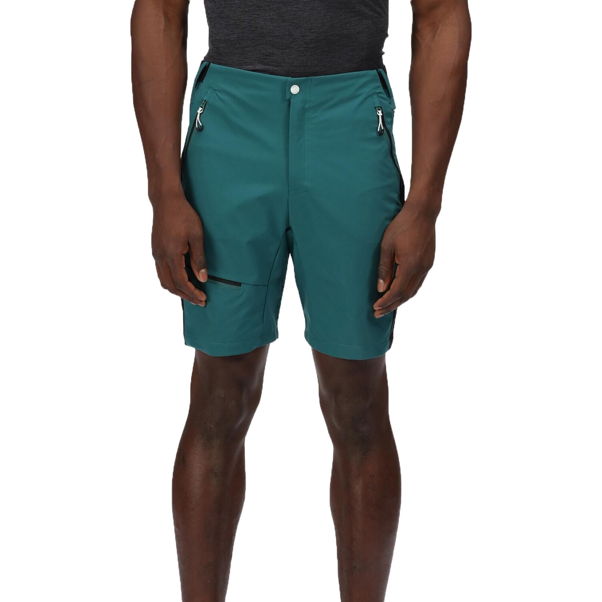 REGATTA Mens Highton Pro Shorts (Pacific Green/Black)