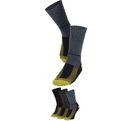 Apollo (Sports) - Wollen werksokken Thermo - Multi Color - Maat 43/46 - 6-Pack - 3/5