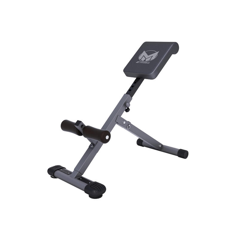 GYRONETICS E-SERIES APPAREIL POUR LE DOS HYPER EXTENSION GN010 | MUSCULATION