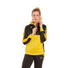 Women's training hoodie Erima Six Wings