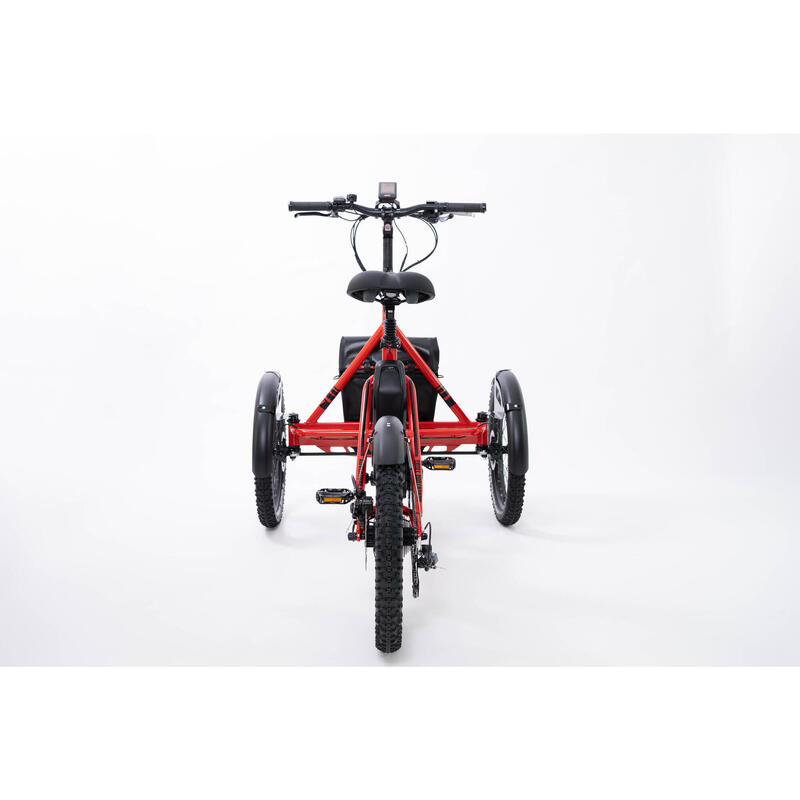 Triciclo Eléctrico para Adultos con Motor 250W
