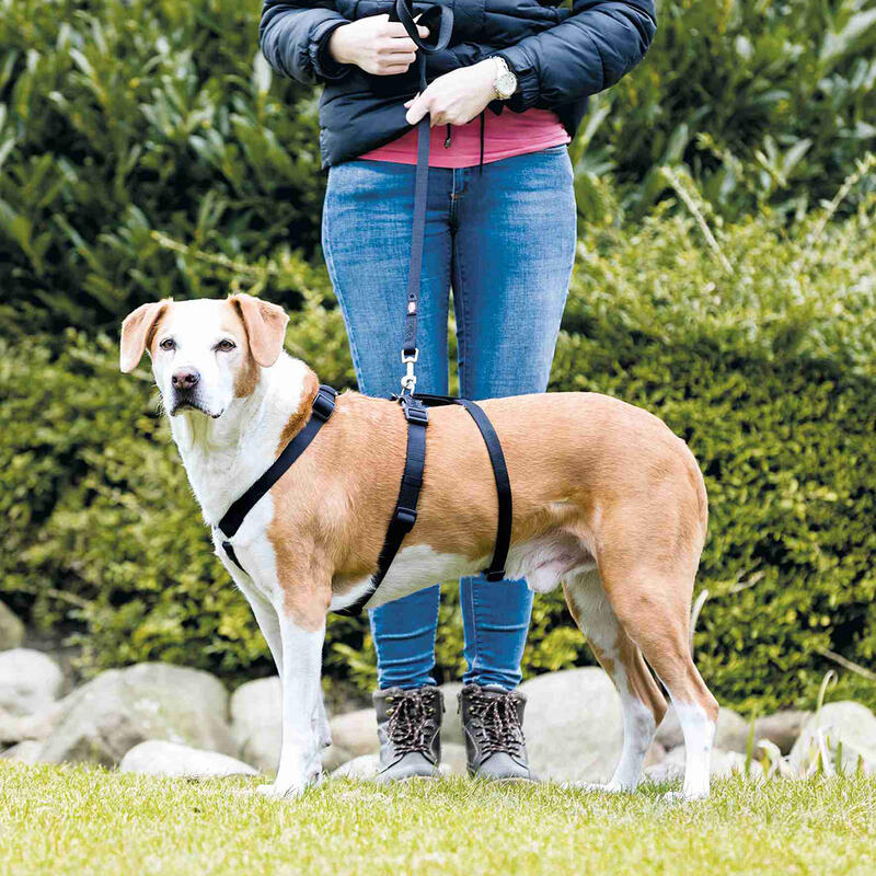 Arnés Guía Stay para perro Trixie