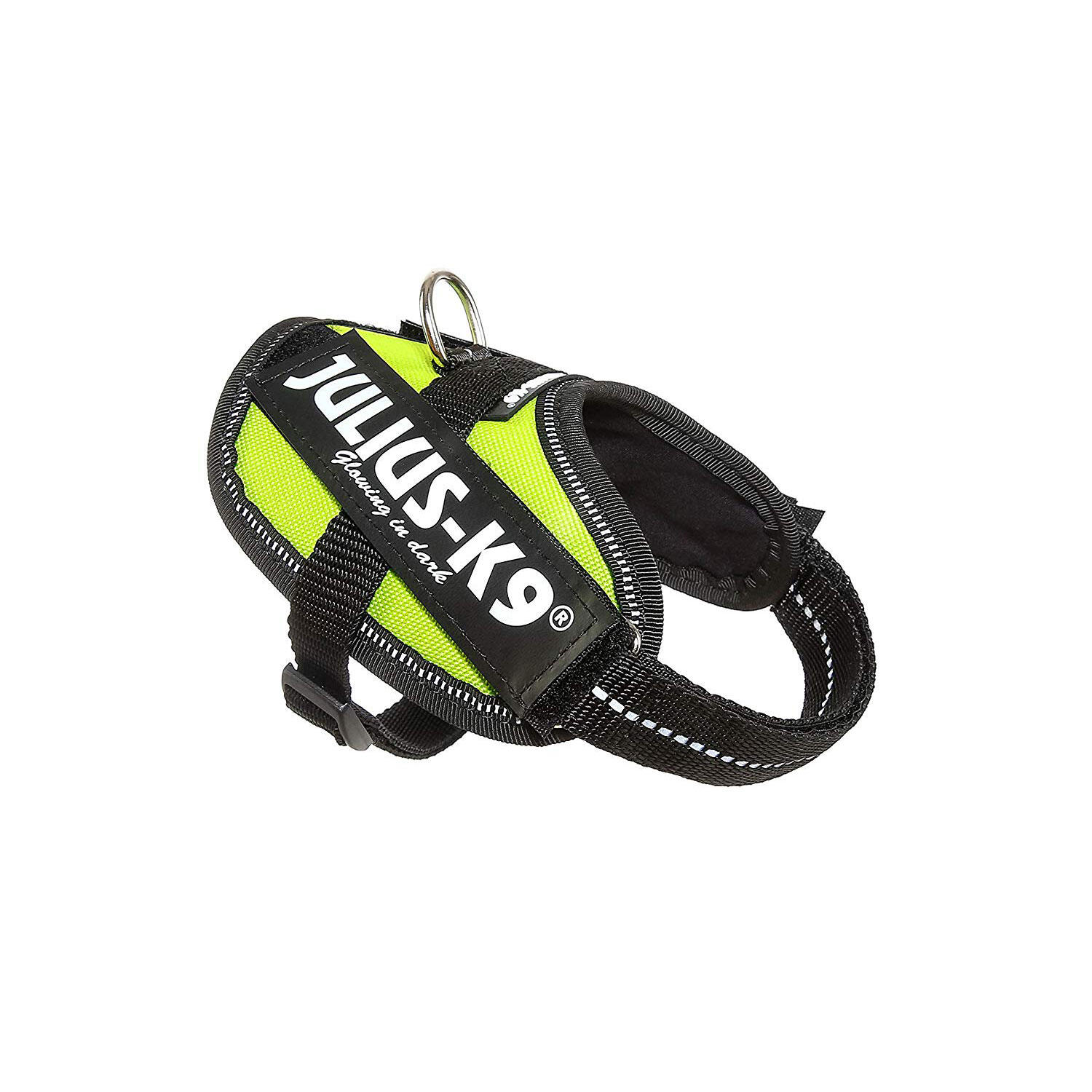 JULIUS-K9 picture