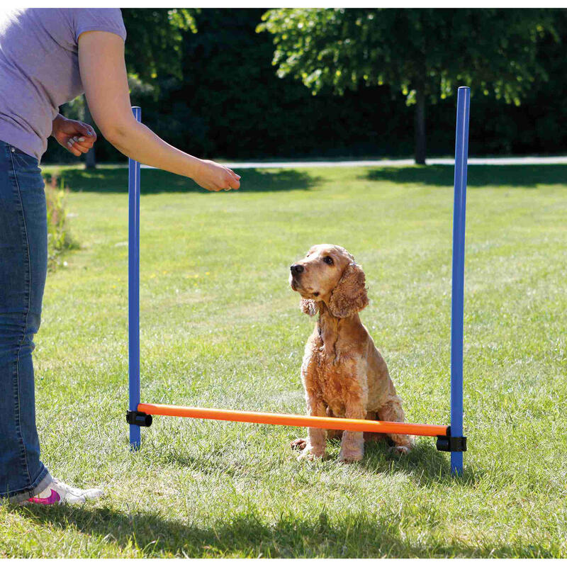 Vallas Agility Regulable para perros Trixie Azul-Naranja 129 × 115 cm