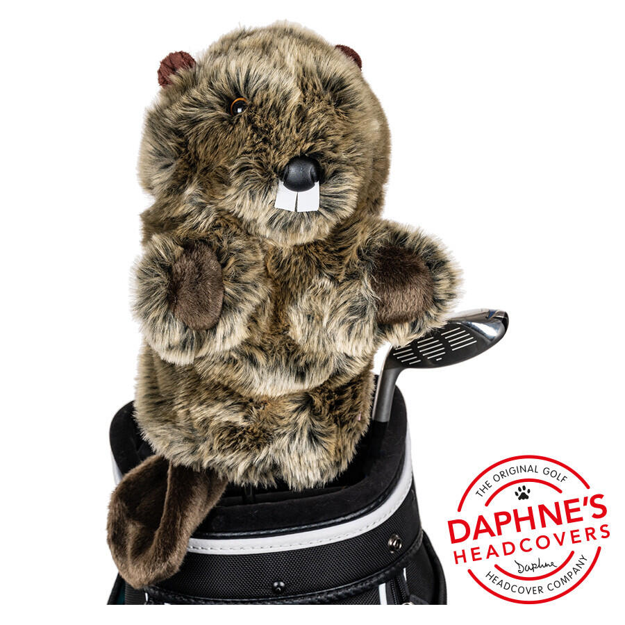 Beaver club cover Daphne bois 2/2