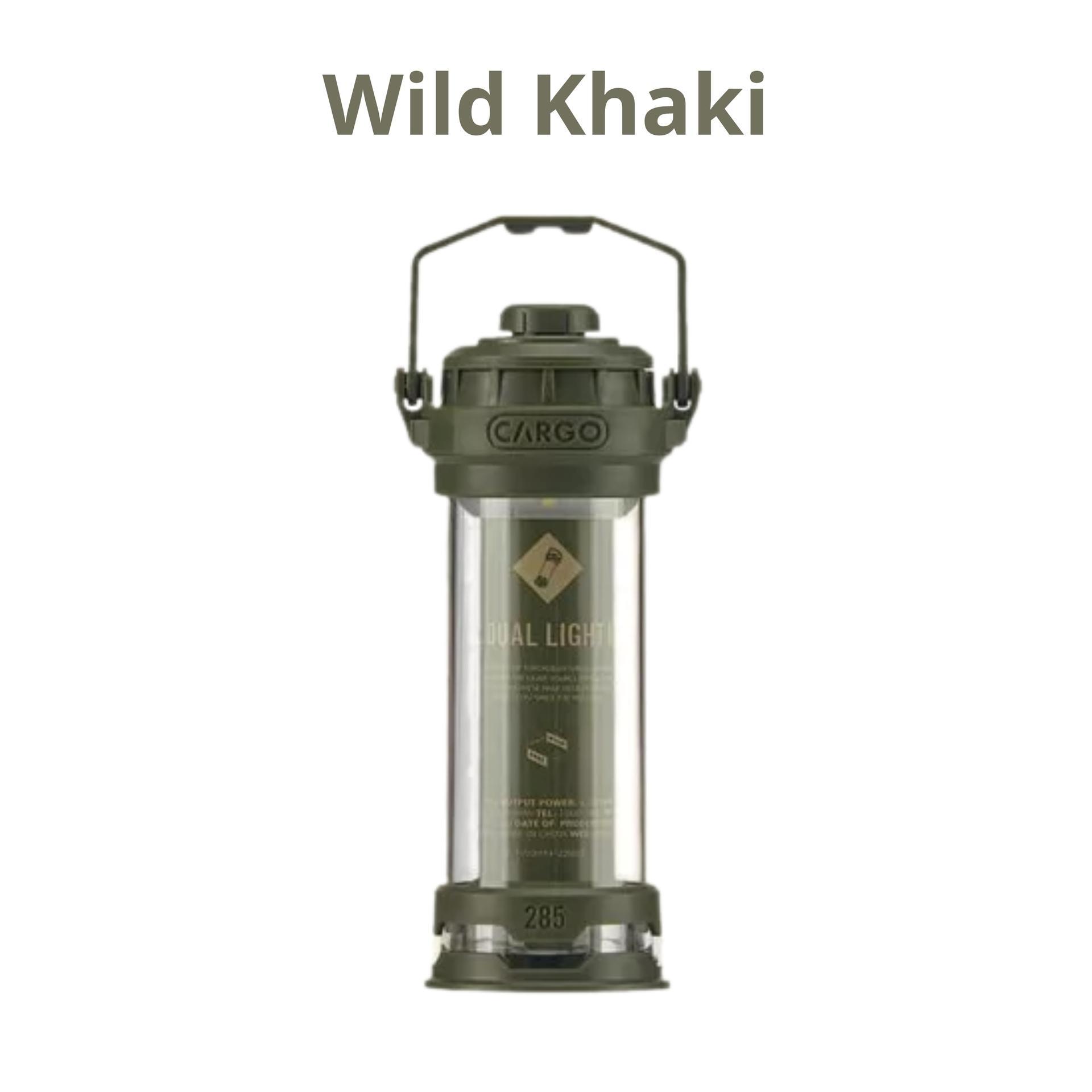 dual-light-mini-300-lumens-