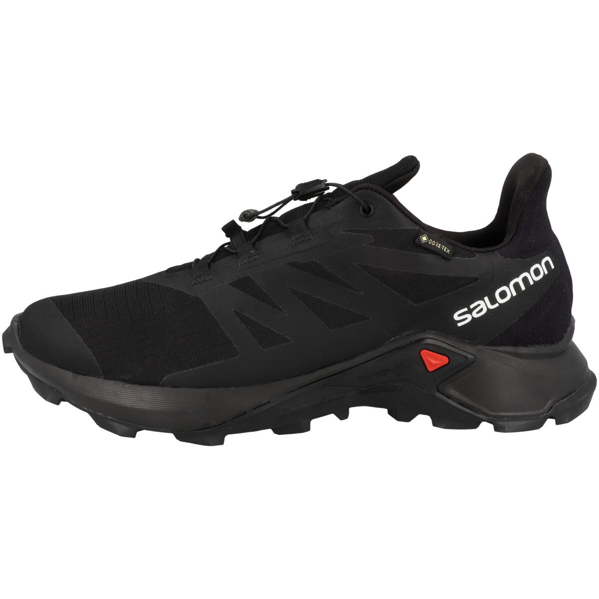SALOMON picture