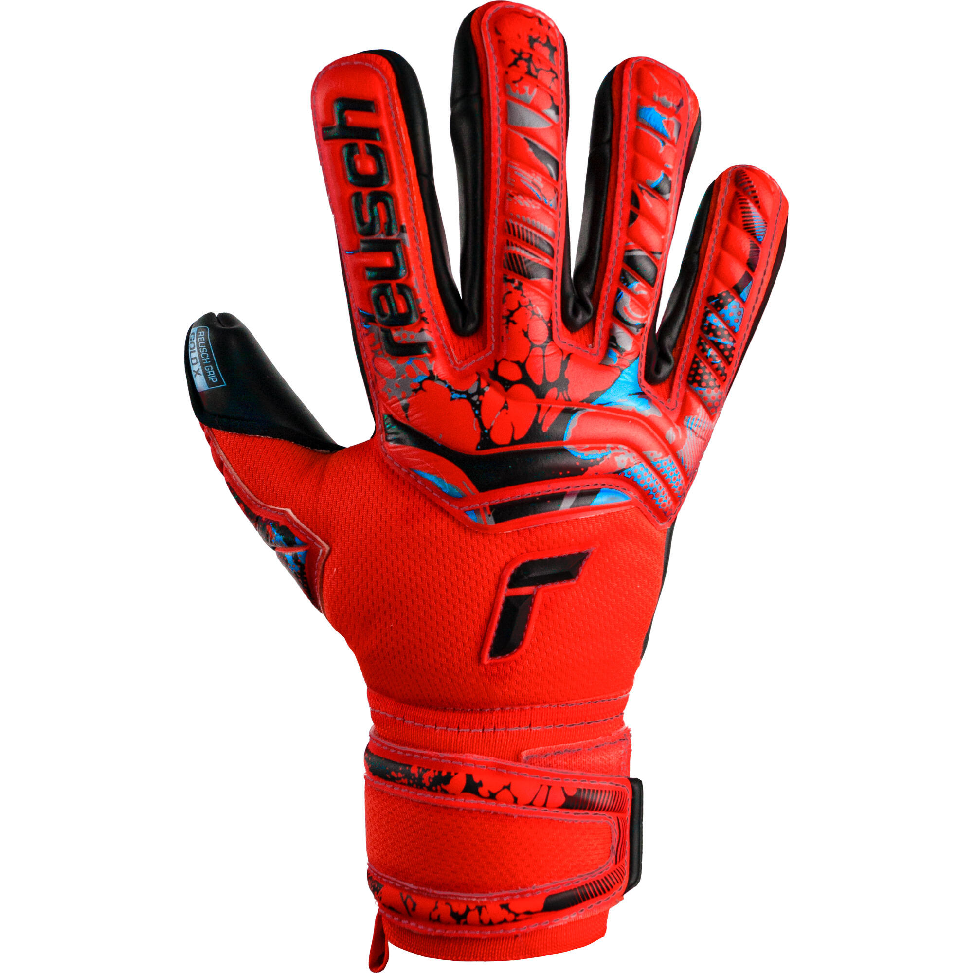 REUSCH picture