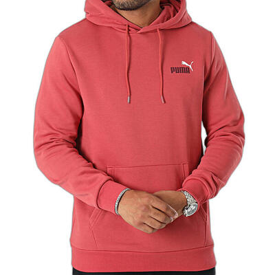 Hoodie puma essential + 2 col small logo fl
