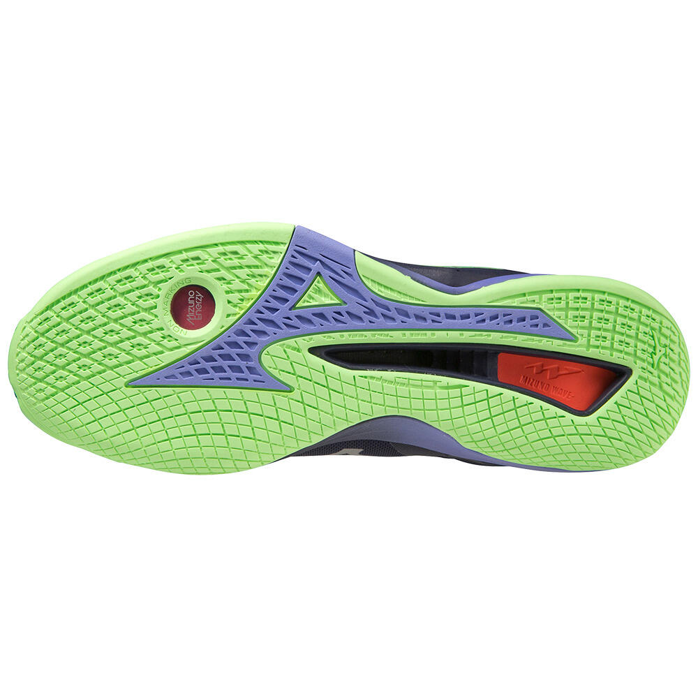 Handbalschoenen Volwassen Mizuno Wave Stealth Neo Blauw 4/6