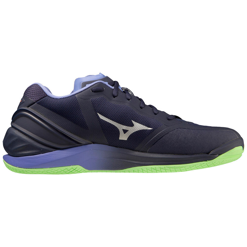 Handbalschoenen Volwassen Mizuno Wave Stealth Neo Blauw 5/6