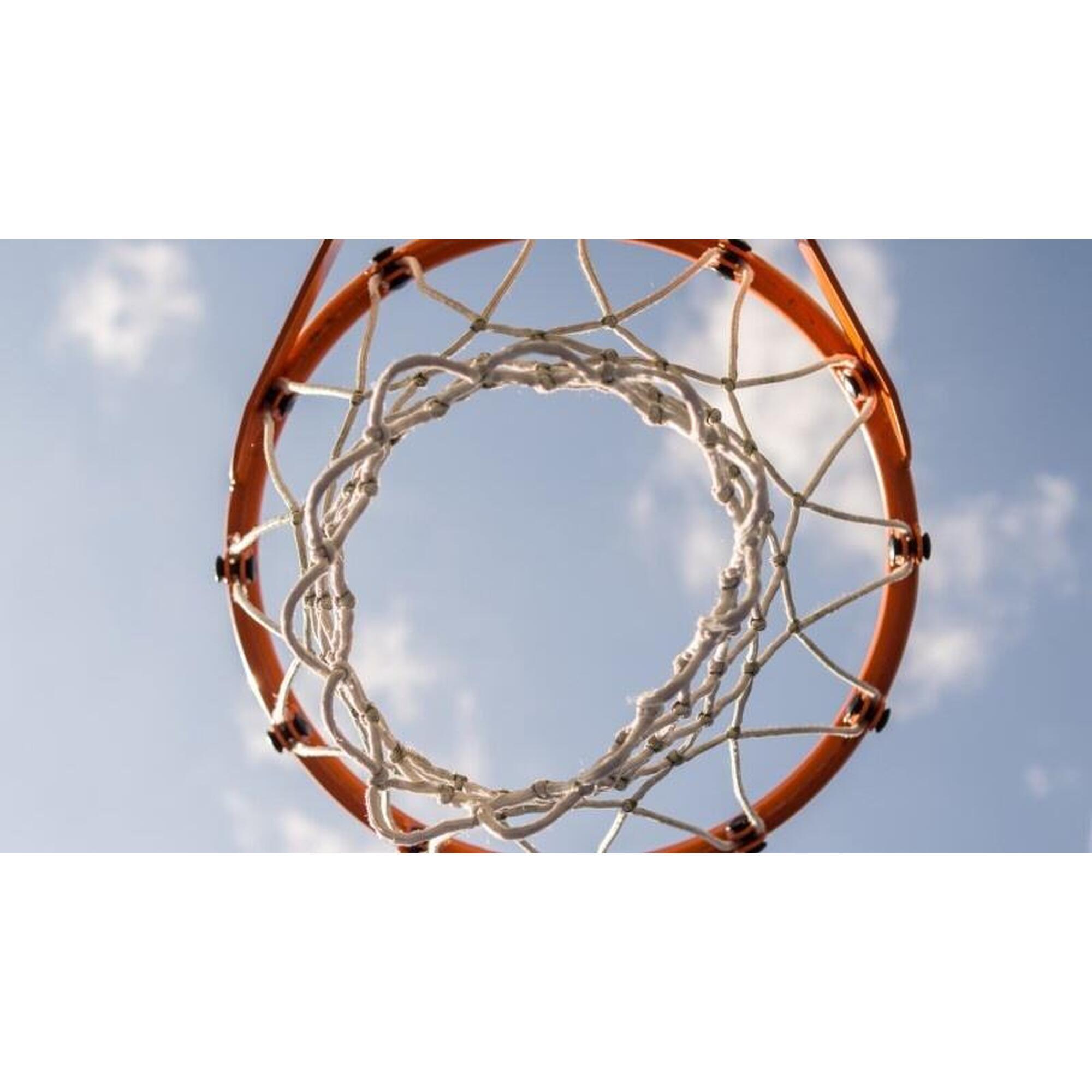 Basketbalbord - Portland - 71 x 45 cm - Basketbalring met Bord en Net