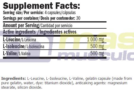 Bcaa xt - 120 cápsulas de Amix Nutrition 4/4
