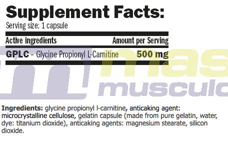 propionyl-l-carnitine powder Pre Workout Carnitine Blend GPLC Supplement Powder