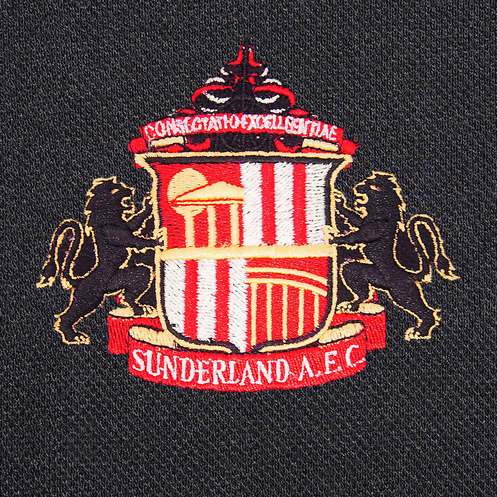 Sunderland AFC Mens Polo Shirt Crest OFFICIAL Football Gift 2/4