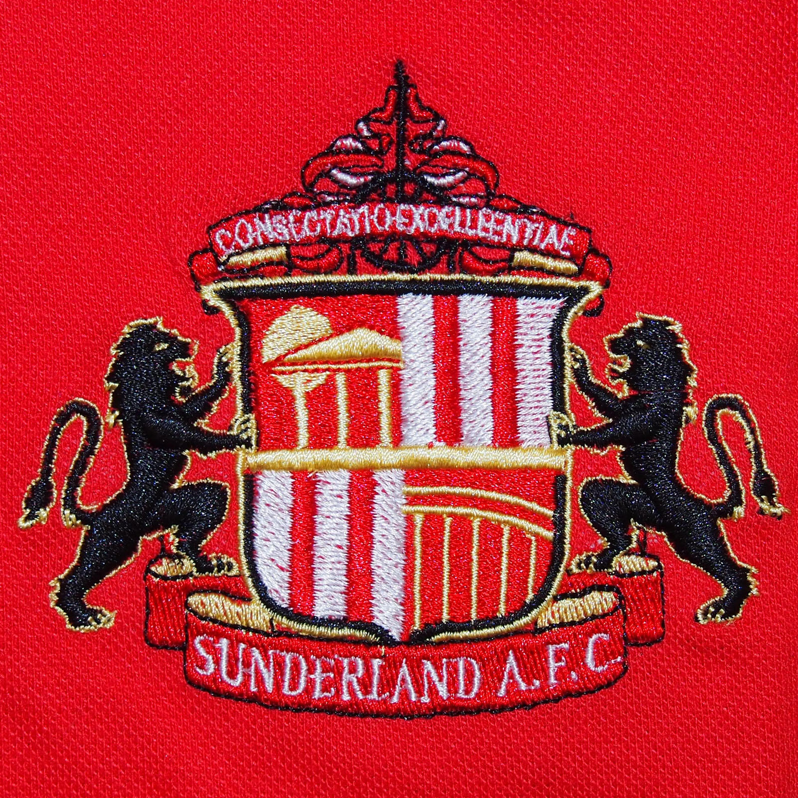 Sunderland AFC Mens Polo Shirt Crest OFFICIAL Football Gift 2/4