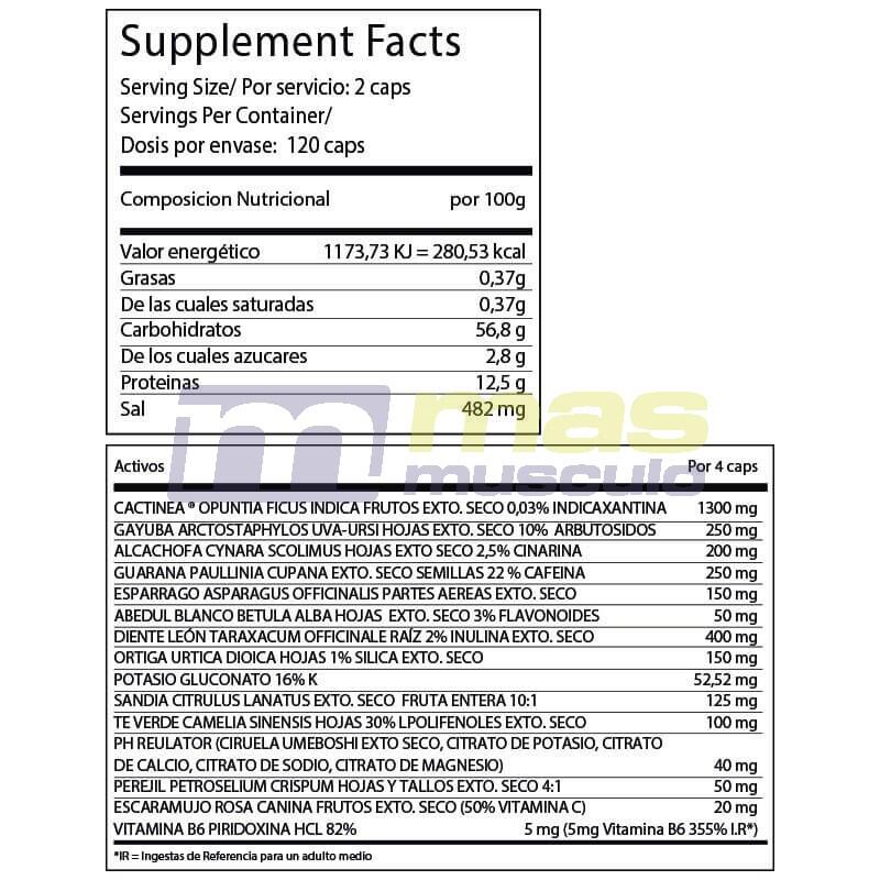 Dry Complexe Diurétique - 120 capsules de BIG 4/4