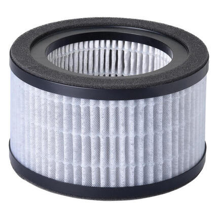 Filtre pour purificateur d'air Beurer LR 220