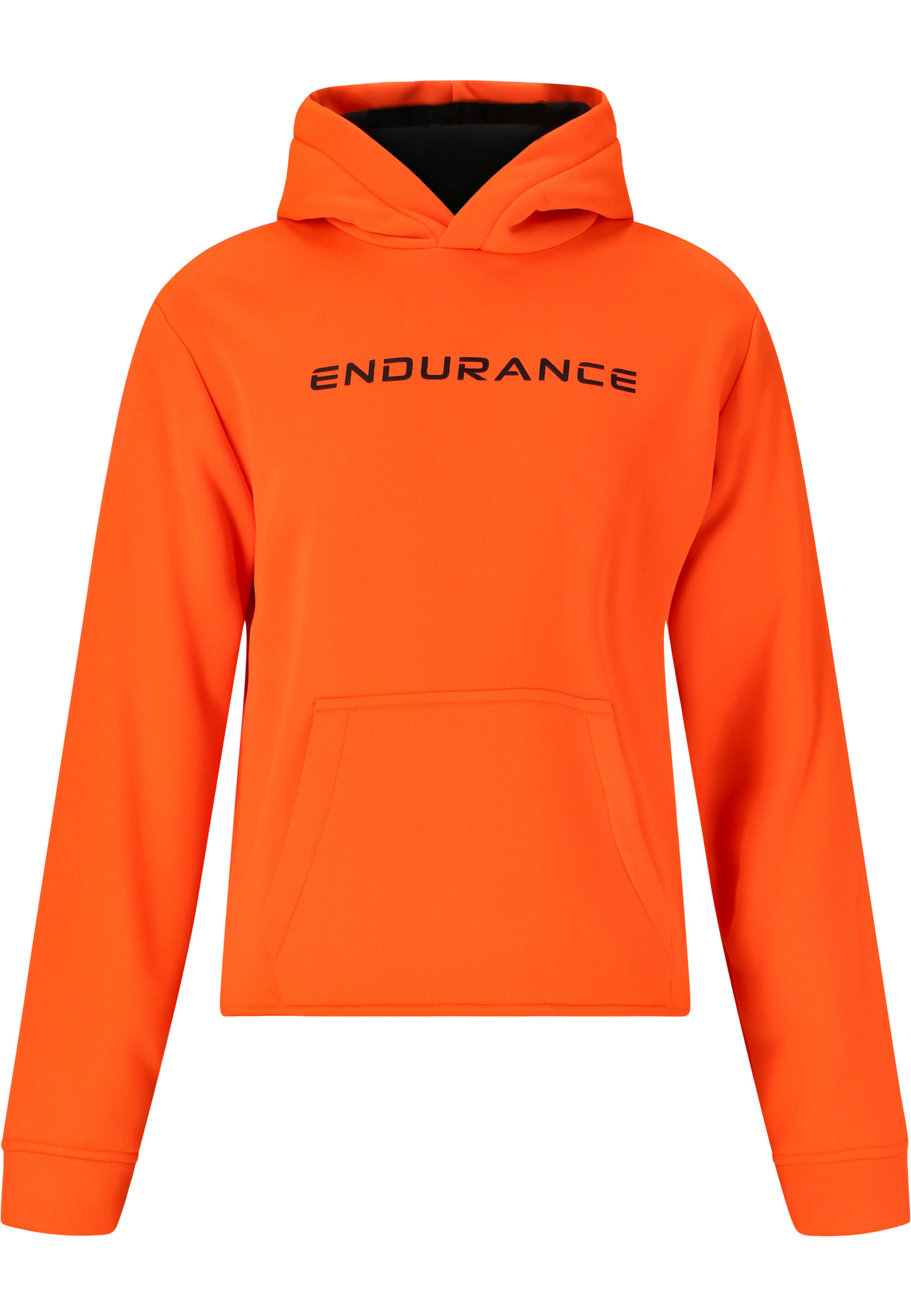 ENDURANCE picture