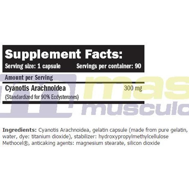 Beta Ecdyx - 90 Cápsulas de Amix Nutrition