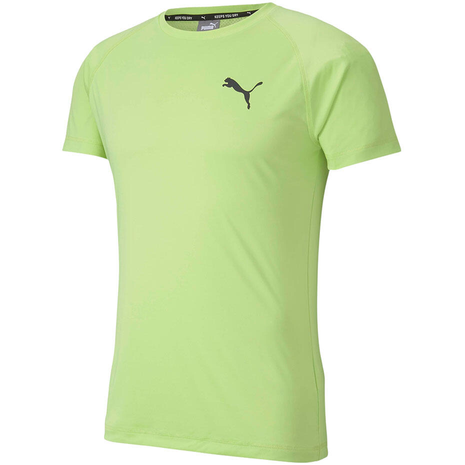 PUMA picture