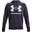 Hanorac Drumeții În Natură Under Armour Rival Big Logo Bărbați