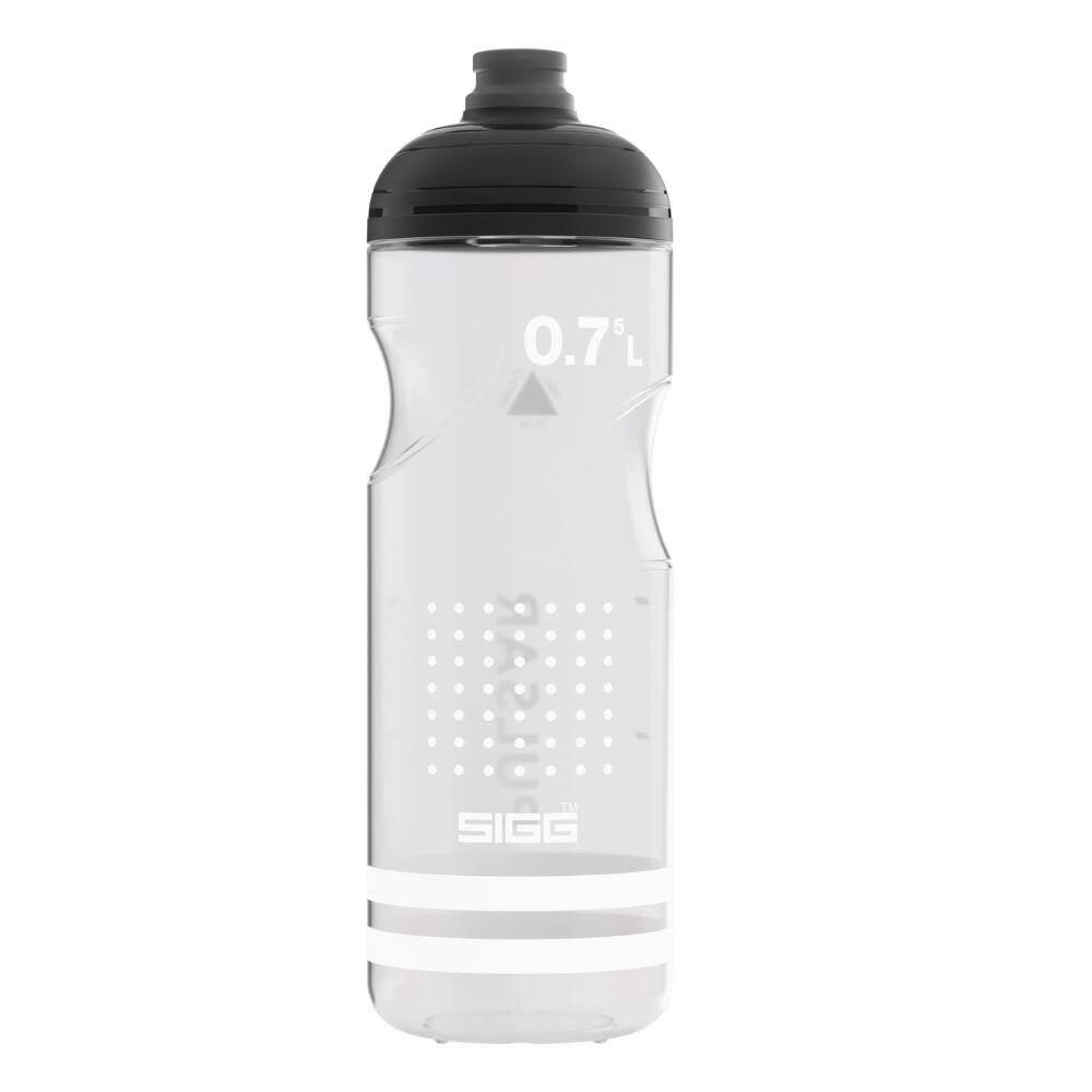 SIGG picture