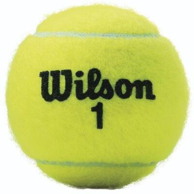 Palline da tennis Wilson "championship Xd" 3 vaschette