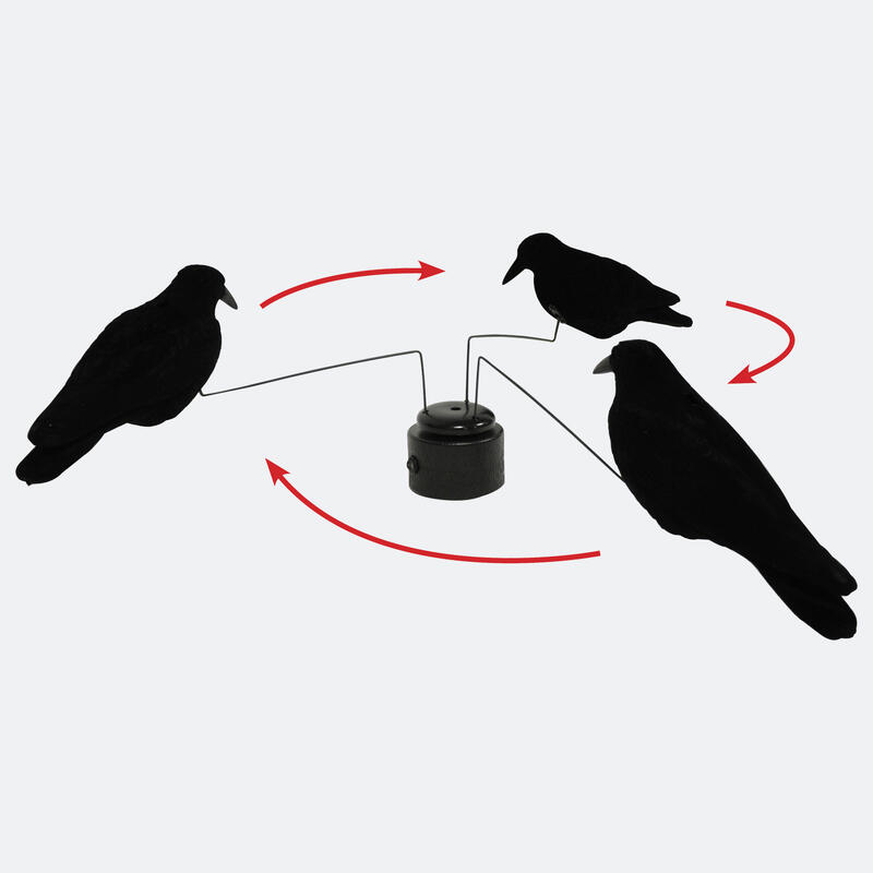 VOGELCARROUSEL MET 3 GEVLEKTE KRAAIEN - WATERVOGELS JAGEN