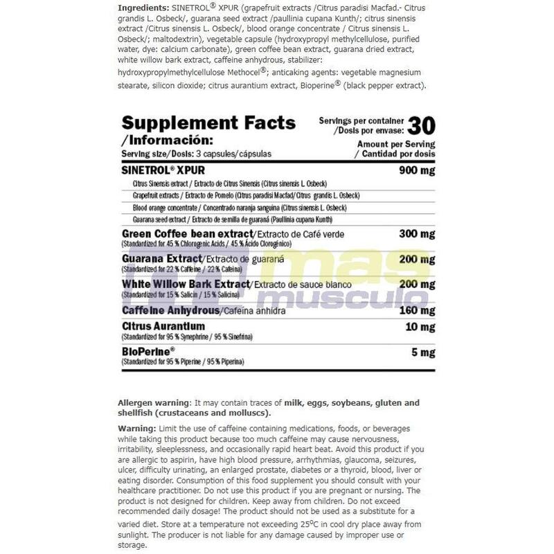 Amix X-Fat Thermogenic 90 Cápsulas Suplemento Termogénico