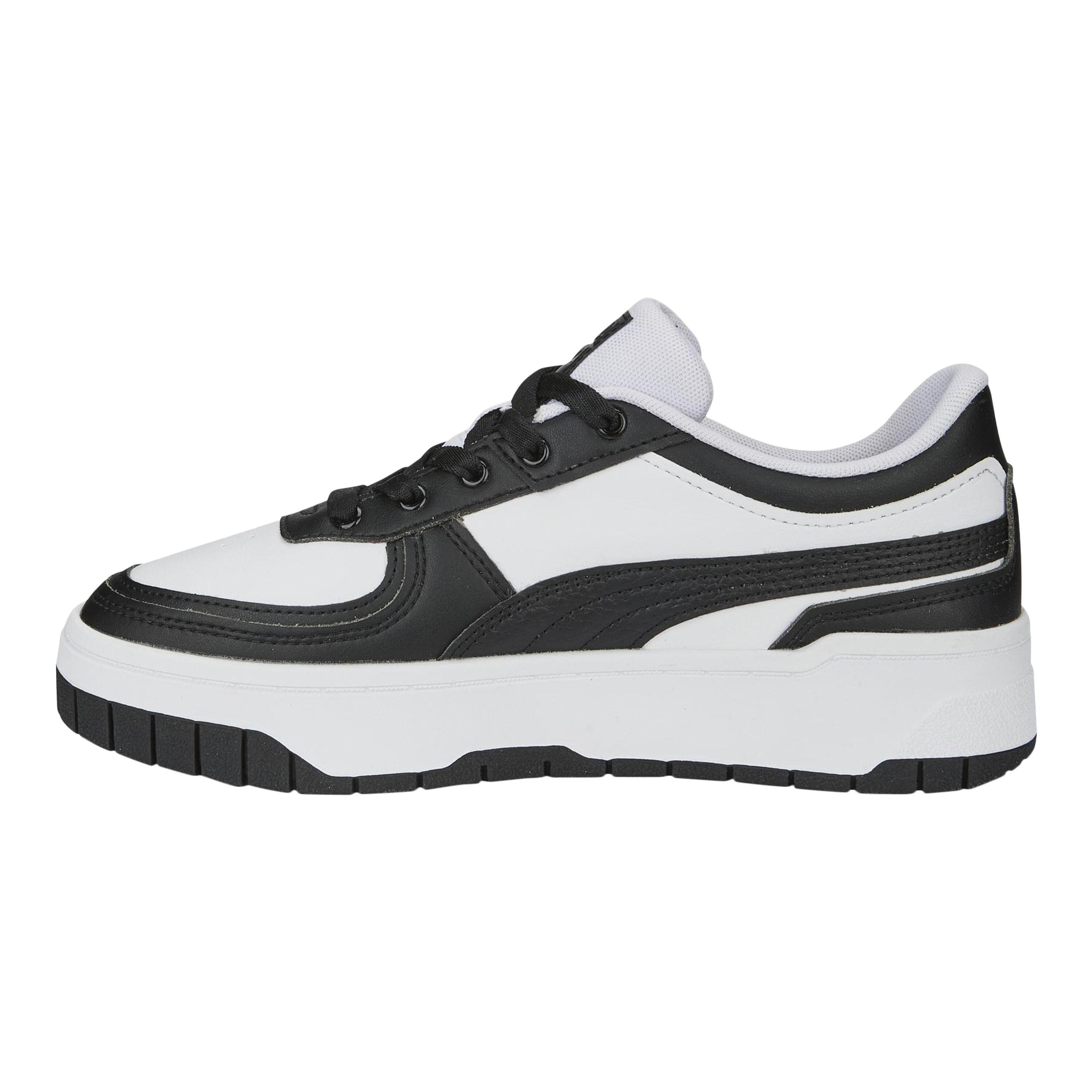 PUMA picture