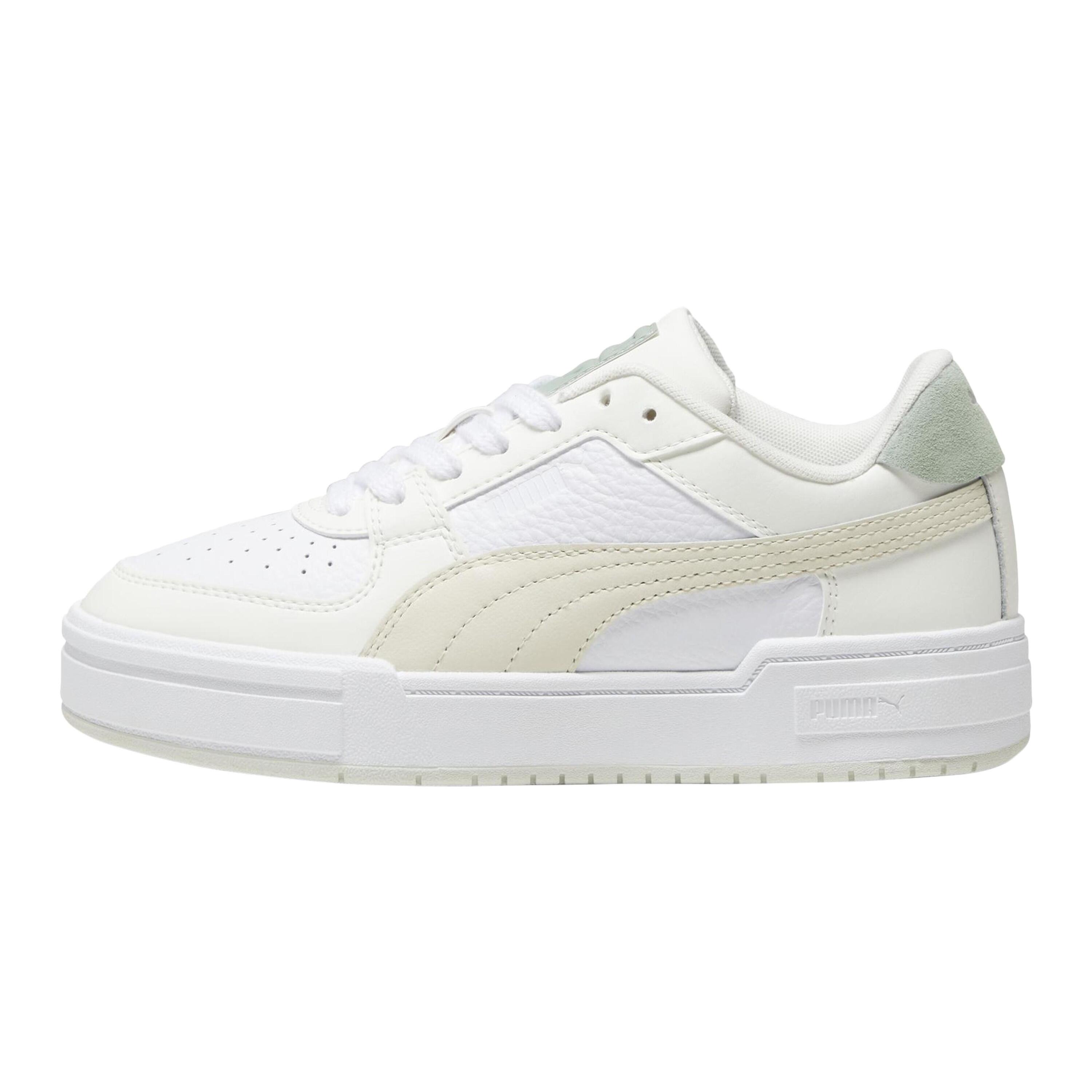 PUMA picture