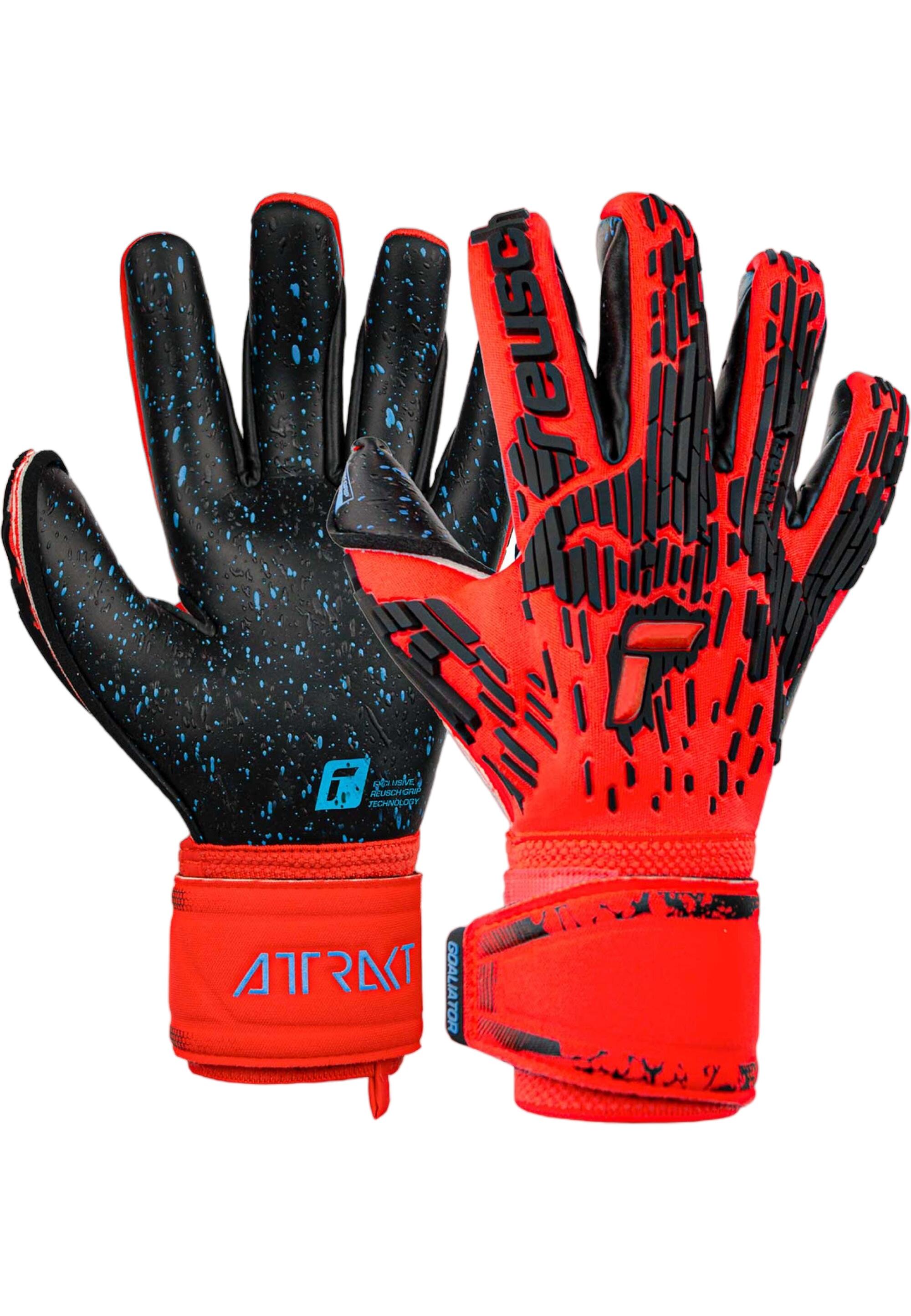 REUSCH picture