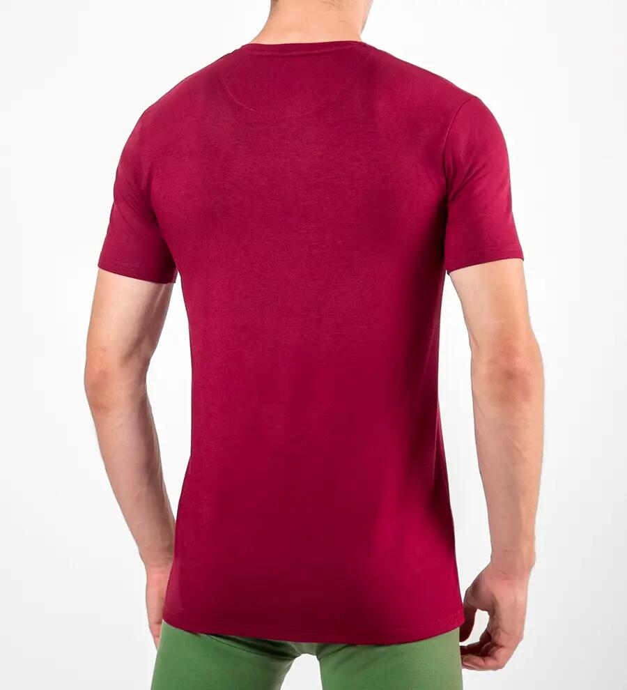 Tricou bărbați v-neck bambus 2/6