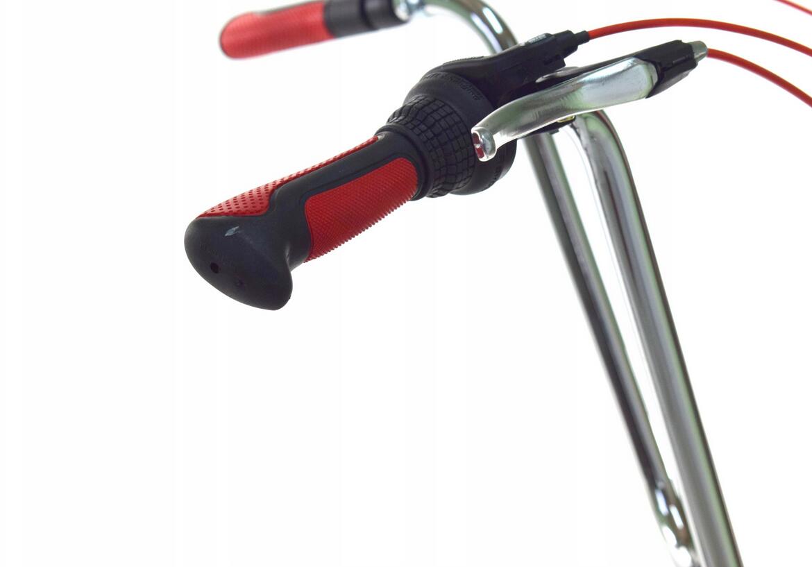 Rower Cruiser Męski Dallas Bike 28" 7spd Alu Classic 5/6
