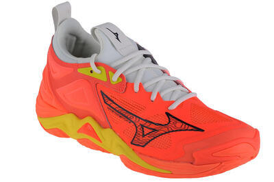 Indoor schoenen mizuno wave momentum 3