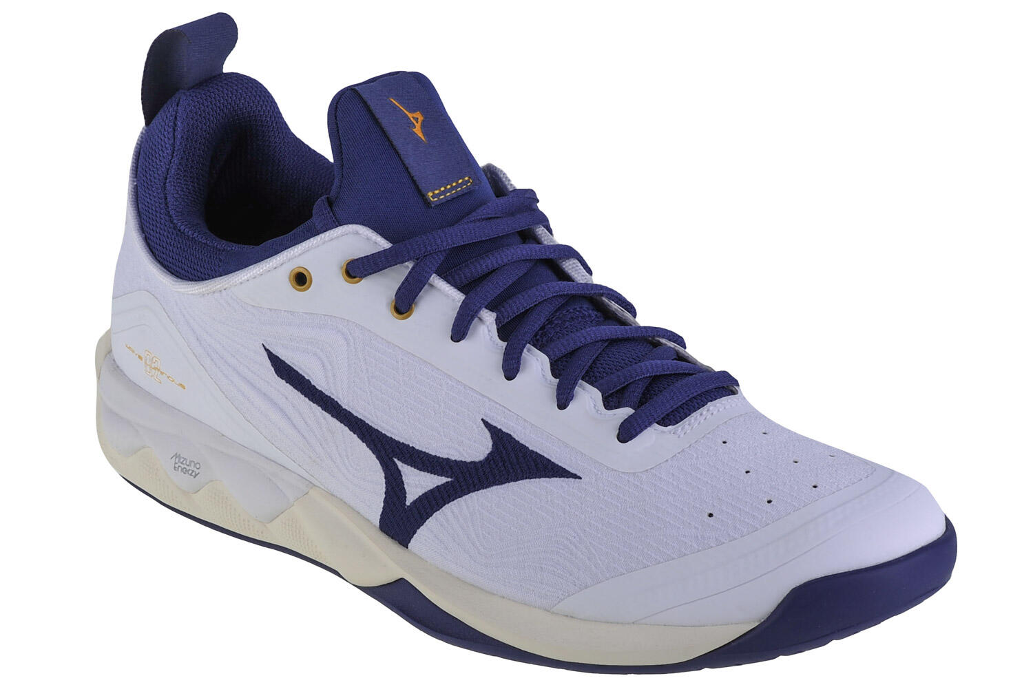 MIZUNO Hardloopschoenen Mizuno Alpine Guide