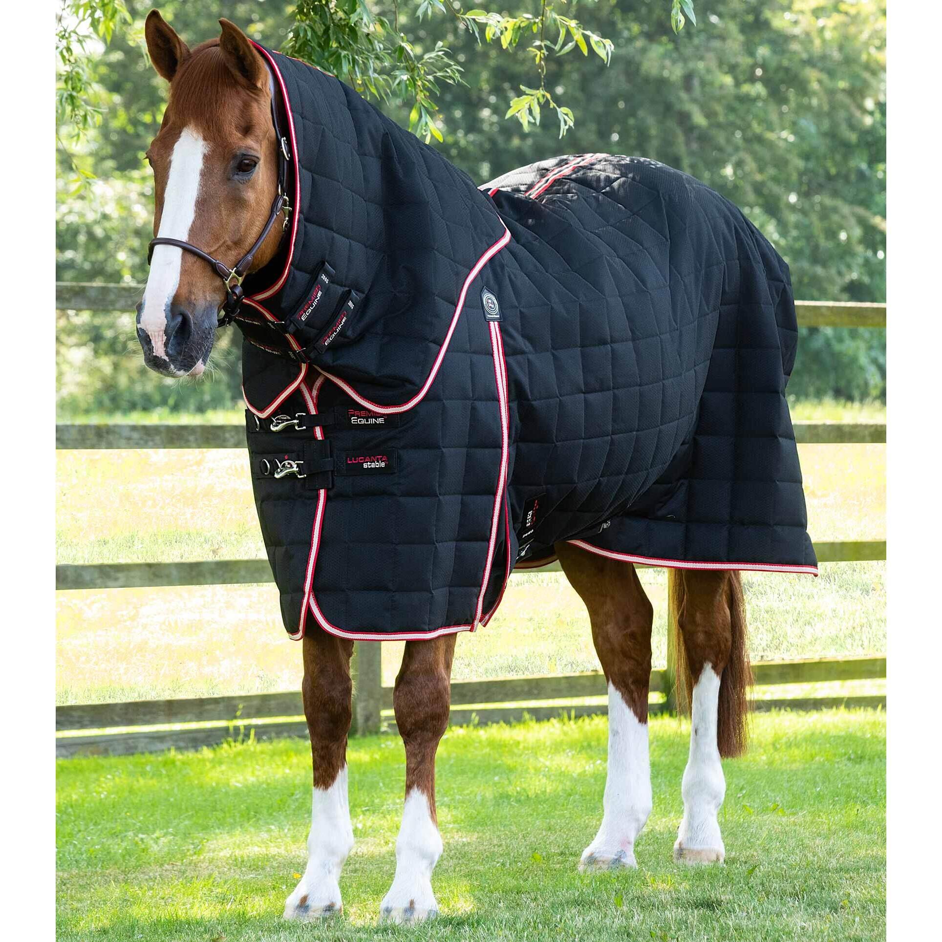 Horse stable blanket with neck cover Premier Equine Lucanta 200 g